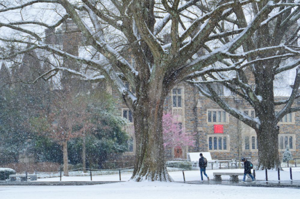 Duke Campus 22